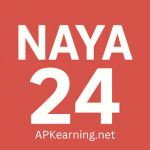 Naya 24 Game